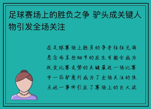 足球赛场上的胜负之争 驴头成关键人物引发全场关注