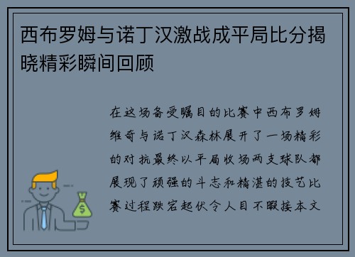 西布罗姆与诺丁汉激战成平局比分揭晓精彩瞬间回顾